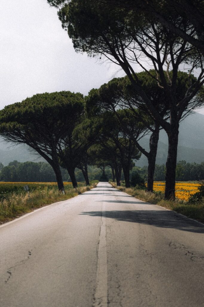 rondreis door toscane met vespa