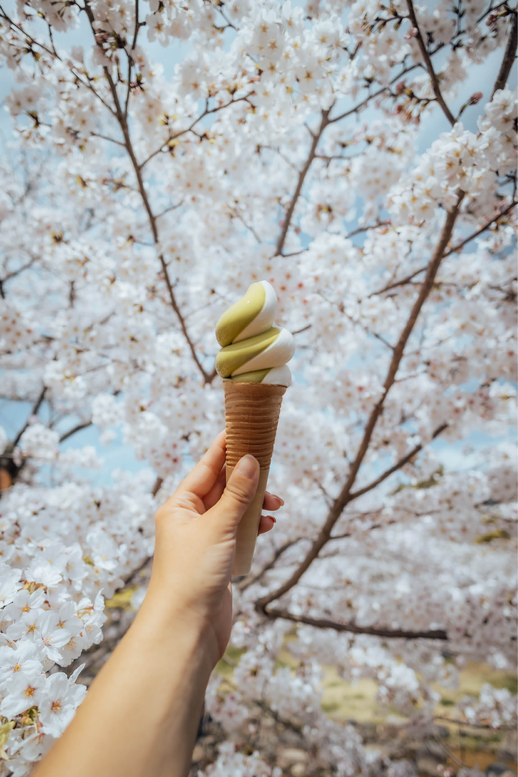 kyoto park