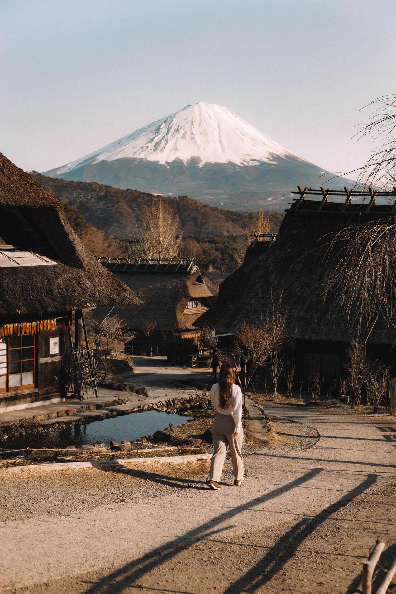 mount fuji